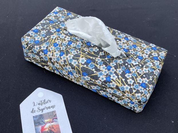 Housse pour boite de mouchoirs